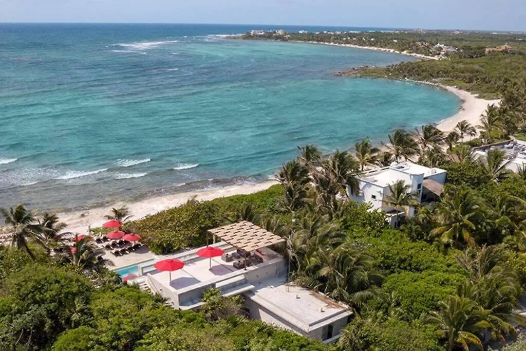 Sunrise Serenity Jacuzzi W Ocean View Beach Access 7 Rooftops Pools Akumal