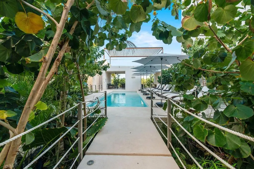 Apartment Sunrise Serenity Jacuzzi W Ocean View Beach Access 7 Rooftops Pools Akumal